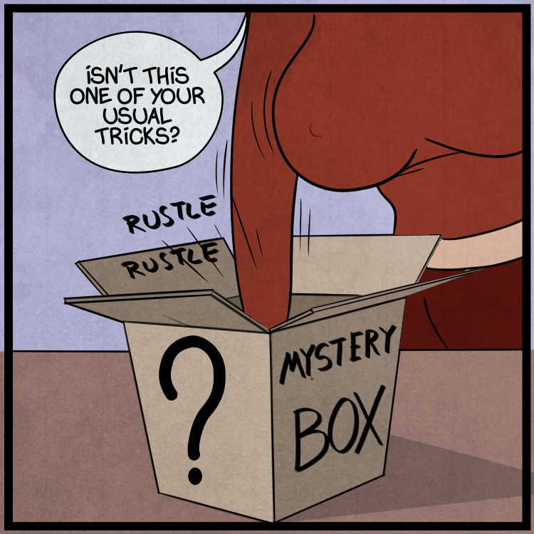 The Mystery box image